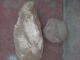 Vendo-fosil-de-choro-zapato-mide-40-centimetros