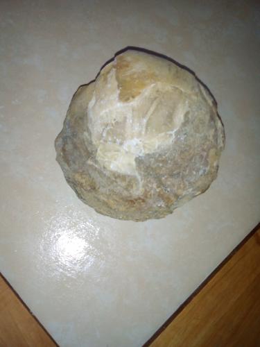 Vendo fósil de almeja milenario encontrado e - Imagen 1